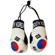 Boxing Gloves>South Korea
