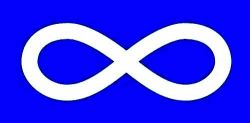 18"x36" Flag>Metis Blue