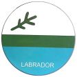 Car Magnet Flexible>Labrador 16cm