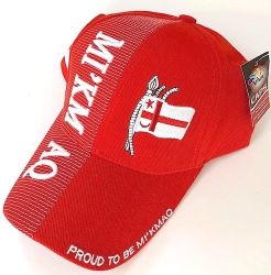 Cap>Mikmaq 3D Emb. Asted Color