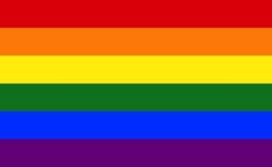 Flag 4.5x9ft>Rainbow/Pride Premium