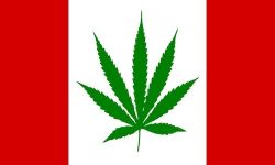 CDA Flag 3'x5'>Marijuana Green Leaf