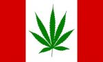 CDA Flag 3'x5'>Marijuana Green Leaf